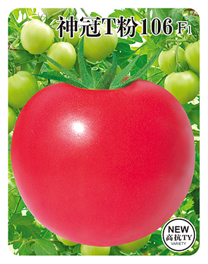 神冠T粉106