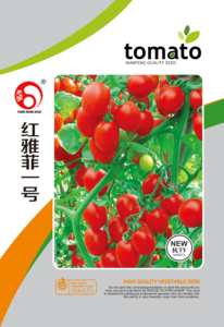 红雅菲一号