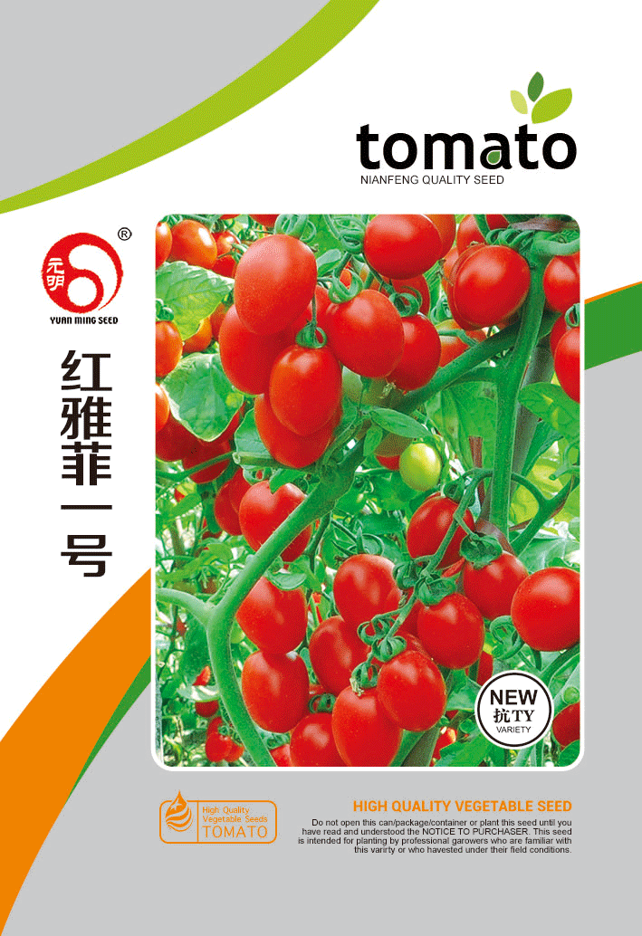 红雅菲一号