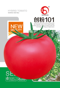 创粉101