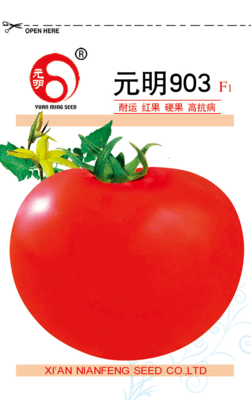 元明903