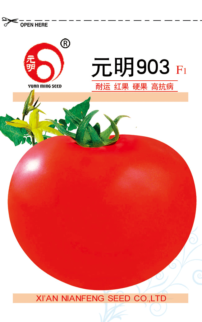 元明903