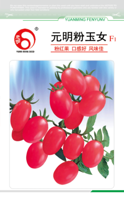元明粉玉女
